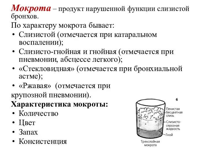 Мокрота – продукт нарушенной функции слизистой бронхов. По характеру мокрота