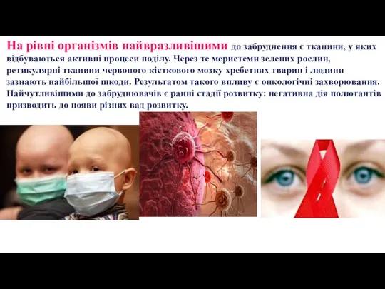 На рівні організмів найвразливішими до забруднення є тканини, у яких