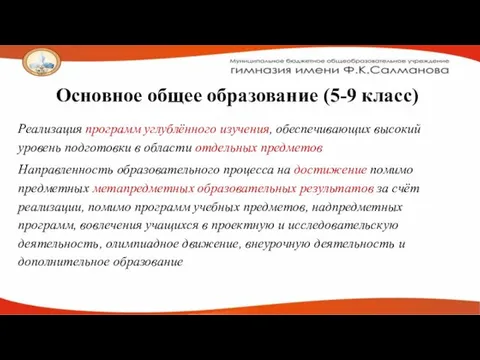 Основное общее образование (5-9 класс) Реализация программ углублённого изучения, обеспечивающих