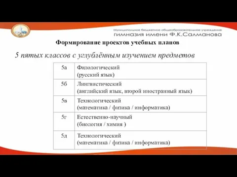 Формирование проектов учебных планов 5 пятых классов с углублённым изучением предметов