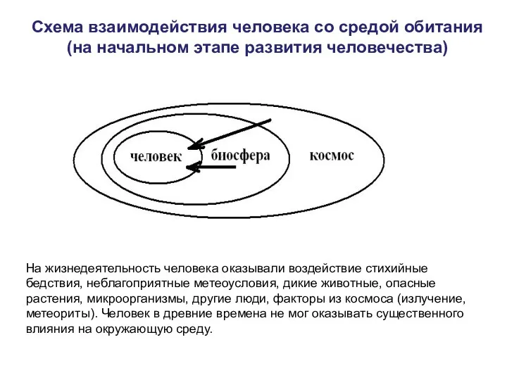 Схема взаимодействия человека со средой обитания (на начальном этапе развития