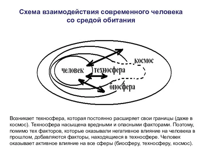 Схема взаимодействия современного человека со средой обитания Возникает техносфера, которая