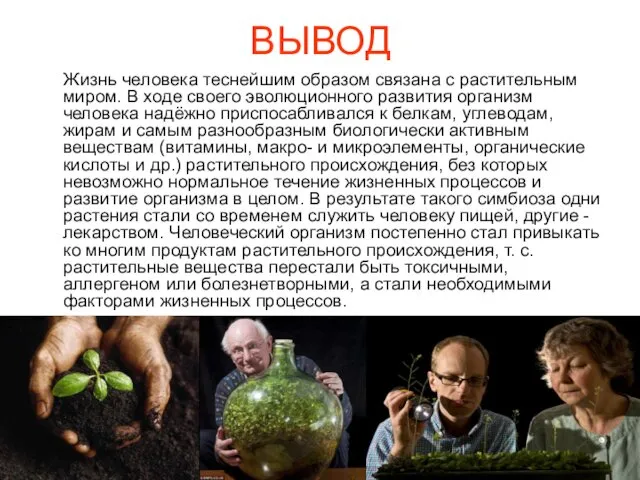 ВЫВОД Жизнь человека теснейшим образом связана с растительным миром. В