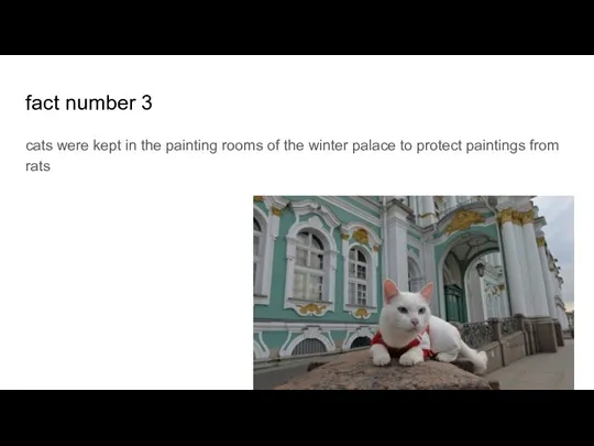 fact number 3 cats were kept in the painting rooms