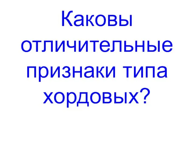 Каковы отличительные признаки типа хордовых?