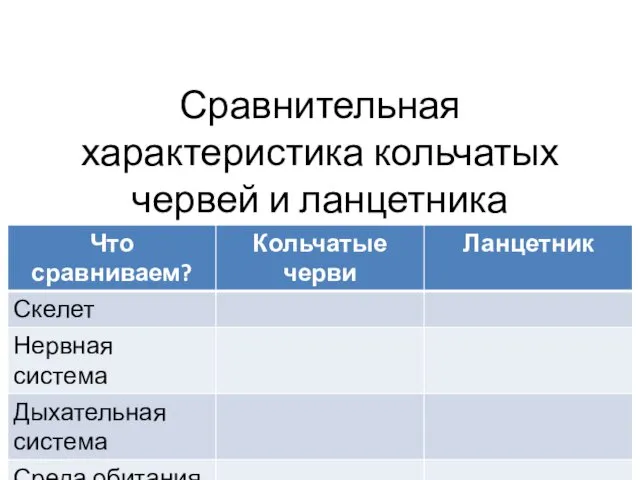 Сравнительная характеристика кольчатых червей и ланцетника