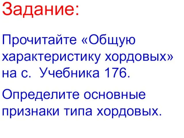 Прочитайте «Общую характеристику хордовых» на с. Учебника 176. Задание: Определите основные признаки типа хордовых.