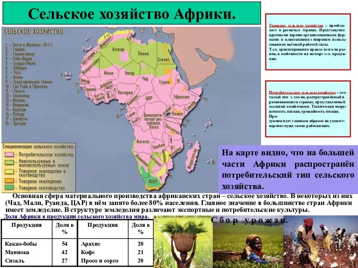 Сельское хозяйство Африки. На карте видно, что на большей части