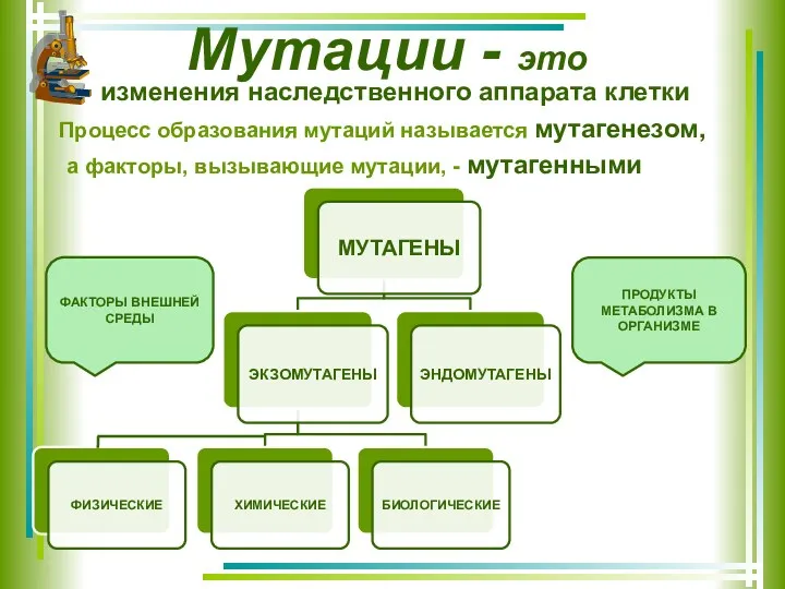 Мутации - это изменения наследственного аппарата клетки Процесс образования мутаций