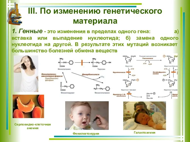 III. По изменению генетического материала 1. Генные - это изменения