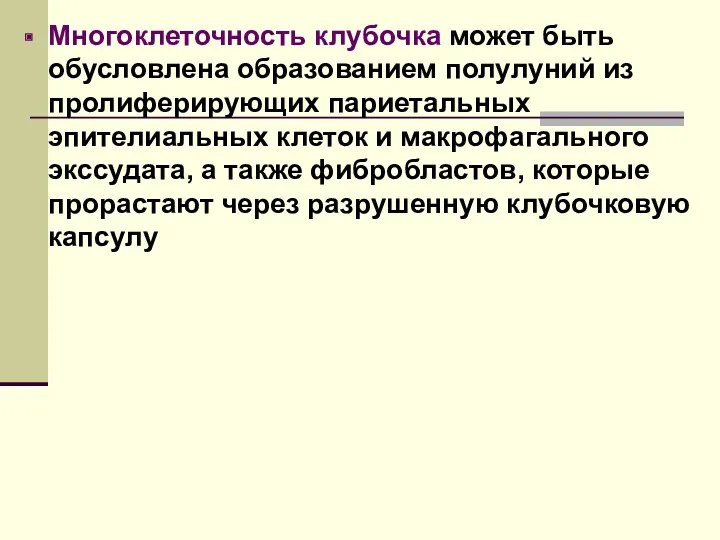 Многоклеточность клубочка может быть обусловлена образованием полулуний из пролиферирующих париетальных