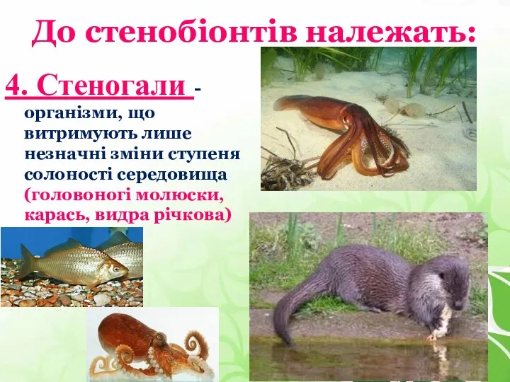 До стенобіонтів належать: 4. Стеногали - організми, що витримують лише