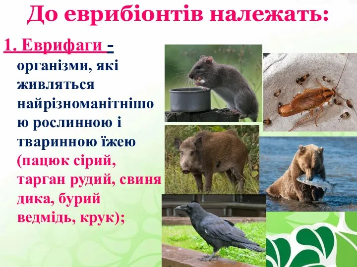 До еврибіонтів належать: 1. Еврифаги - організми, які живляться найрізноманітнішою