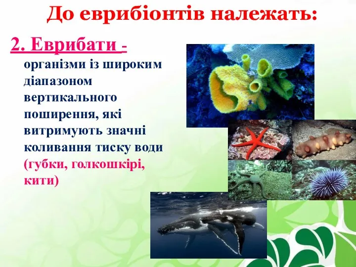 До еврибіонтів належать: 2. Еврибати - організми із широким діапазоном