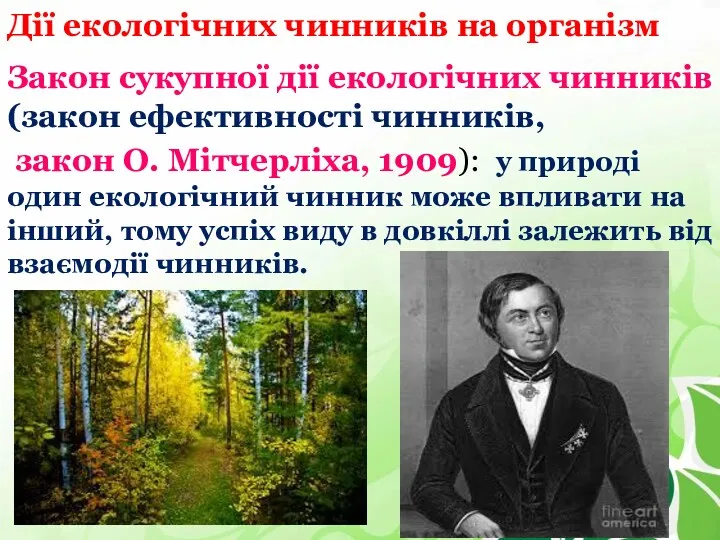 Дії екологічних чинників на організм Закон сукупної дії екологічних чинників