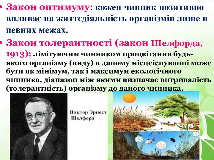 Закон оптимуму: кожен чинник позитивно впливає на життєдіяльність організмів лише