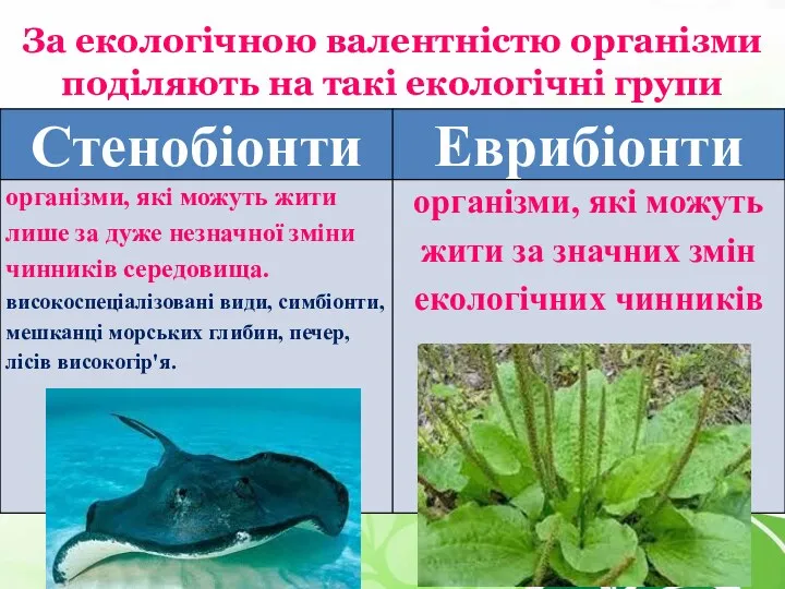 За екологічною валентністю організми поділяють на такі екологічні групи