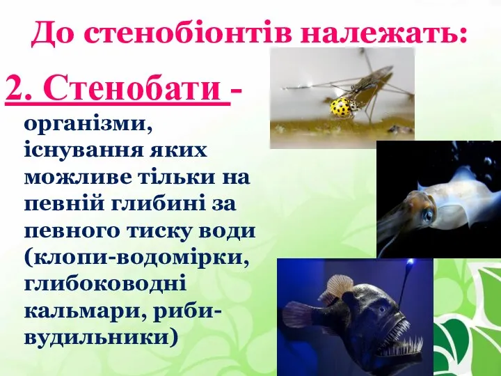 До стенобіонтів належать: 2. Стенобати - організми, існування яких можливе