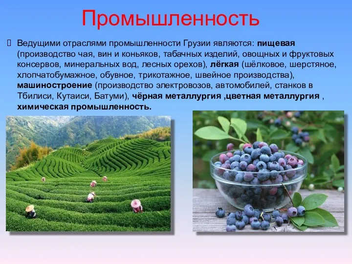 Промышленность Ведущими отраслями промышленности Грузии являются: пищевая (производство чая, вин