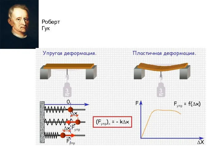 Роберт Гук