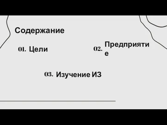 Содержание Цели 01. Предприятие 02. Изучение ИЗ 03.