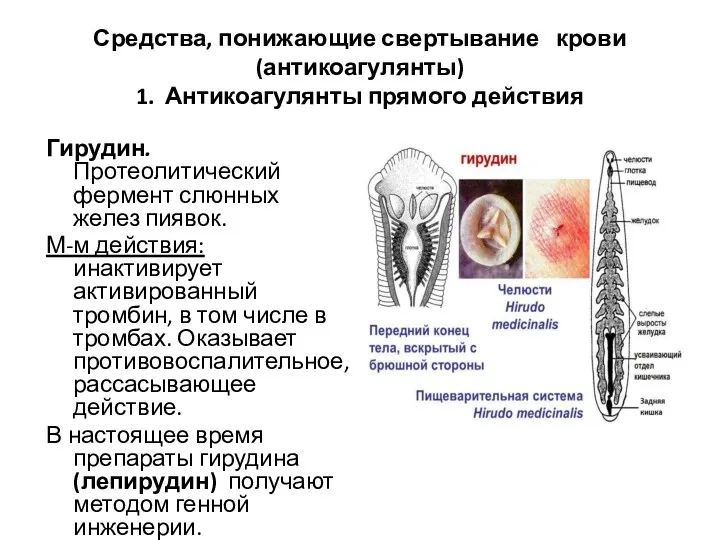 Средства, понижающие свертывание крови (антикоагулянты) 1. Антикоагулянты прямого действия Гирудин.