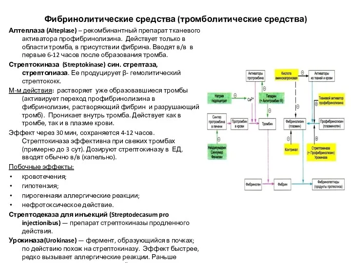 Фибринолитические средства (тромболитические средства) Алтеплаза (Alteplase) – рекомбинантный препарат тканевого