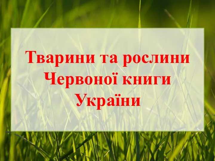 Тварини та рослини Червоної книги України