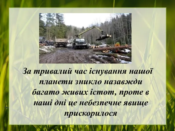 За тривалий час існування нашої планети зникло назавжди багато живих