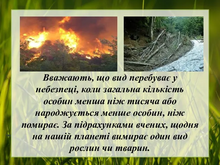 Вважають, що вид перебуває у небезпеці, коли загальна кількість особин