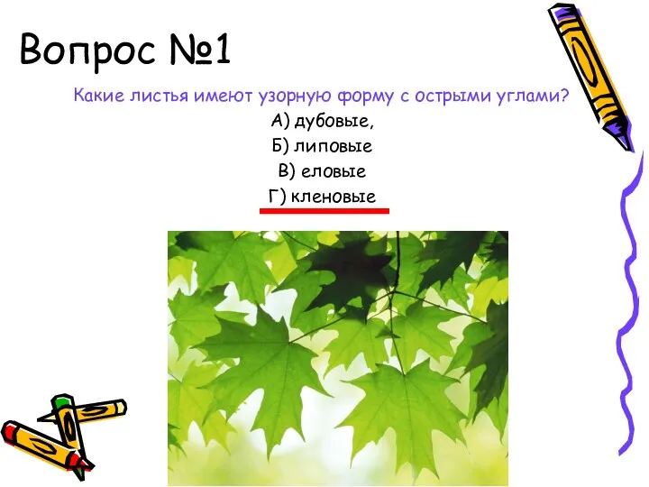 Вопрос №1 Какие листья имеют узорную форму с острыми углами? А) дубовые, Б)