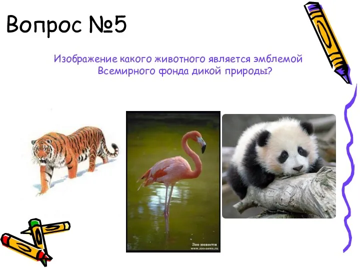 Вопрос №5 Изображение какого животного является эмблемой Всемирного фонда дикой природы?