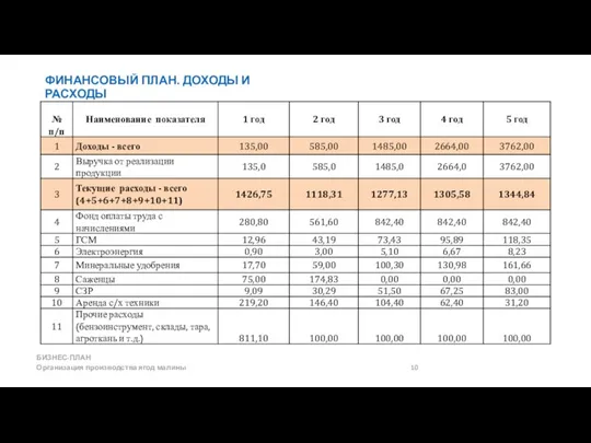 ФИНАНСОВЫЙ ПЛАН. ДОХОДЫ И РАСХОДЫ БИЗНЕС-ПЛАН Организация производства ягод малины 10