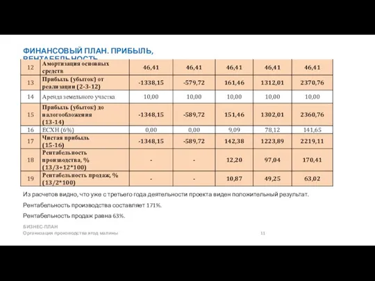 ФИНАНСОВЫЙ ПЛАН. ПРИБЫЛЬ, РЕНТАБЕЛЬНОСТЬ БИЗНЕС-ПЛАН Организация производства ягод малины 11