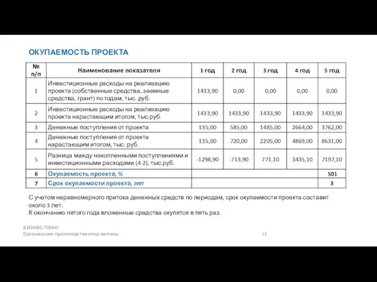 ОКУПАЕМОСТЬ ПРОЕКТА БИЗНЕС-ПЛАН Организация производства ягод малины 12 С учетом