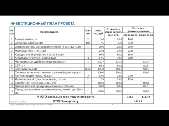 ИНВЕСТИЦИОННЫЙ ПЛАН ПРОЕКТА БИЗНЕС-ПЛАН Организация производства ягод малины 4