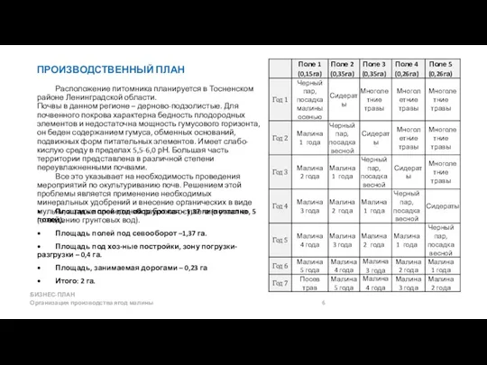 ПРОИЗВОДСТВЕННЫЙ ПЛАН Расположение питомника планируется в Тосненском районе Ленинградской области.