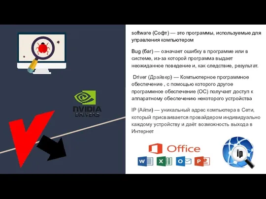 software (Софт) — это программы, используемые для управления компьютером Bug