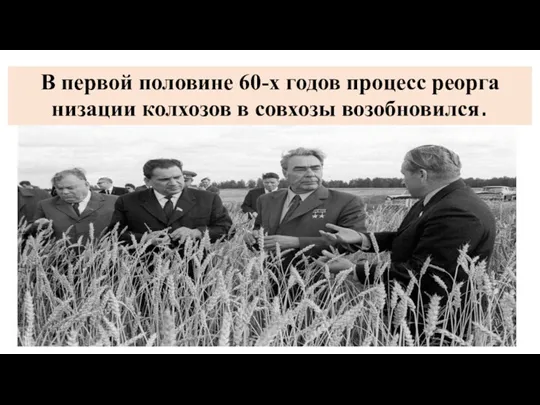 В первой половине 60-х годов процесс реорга­низации колхозов в совхозы возобновился.