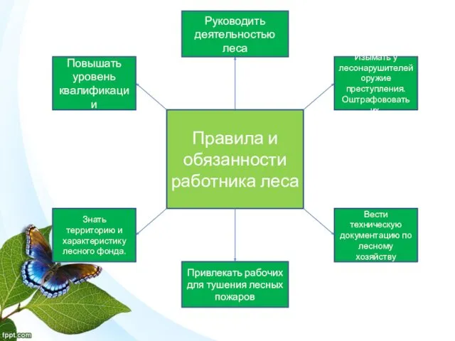 Руководить деятельностью леса Правила и обязанности работника леса Повышать уровень