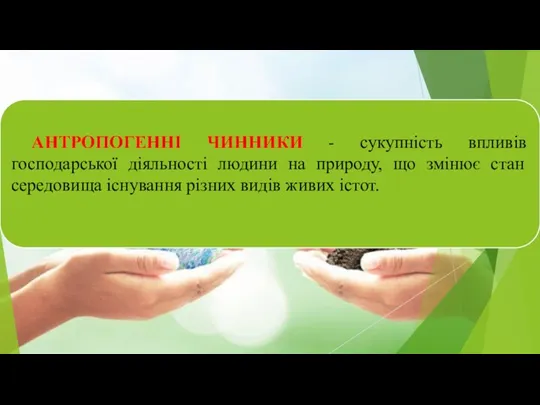 АНТРОПОГЕННІ ЧИННИКИ - сукупність впливів господарської діяльності людини на природу,