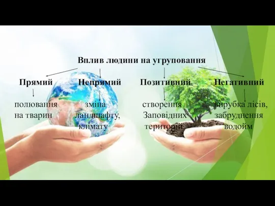 Вплив людини на угруповання Прямий Непрямий Позитивний Негативний полювання зміна