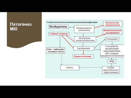 Патогенез МКІ