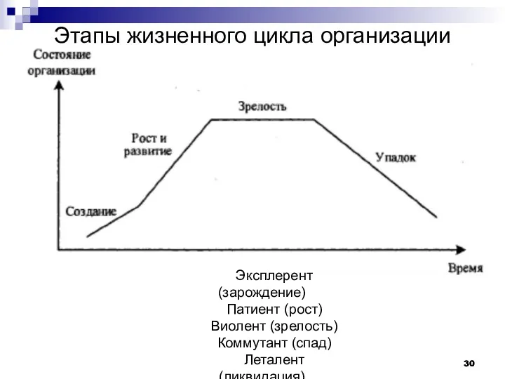 Этапы жизненного цикла организации Эксплерент (зарождение) Патиент (рост) Виолент (зрелость) Коммутант (спад) Леталент (ликвидация)