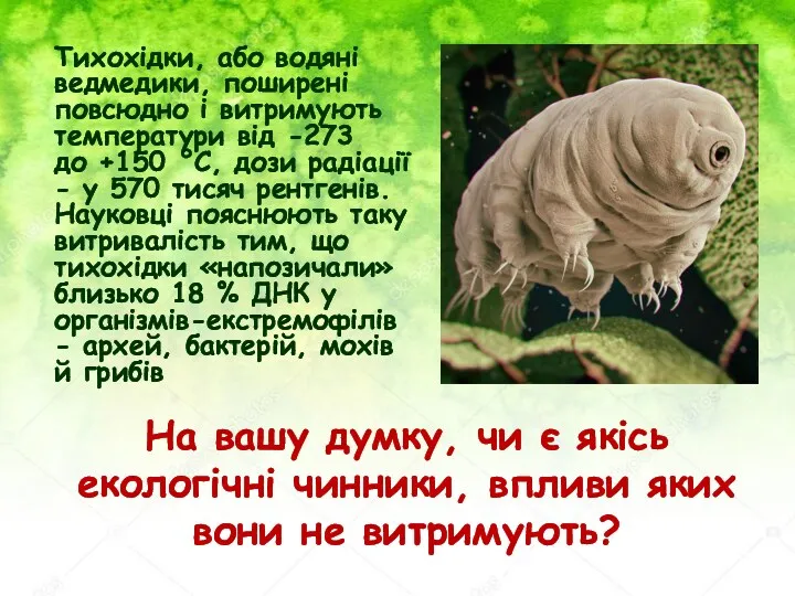 На вашу думку, чи є якісь екологічні чинники, впливи яких