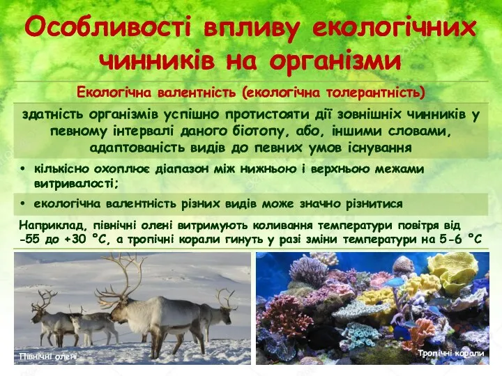 Особливості впливу екологічних чинників на організми Північні олені Тропічні корали