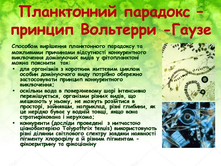 Планктонний парадокс – принцип Вольтерри -Гаузе Способом вирішення планктонного парадоксу