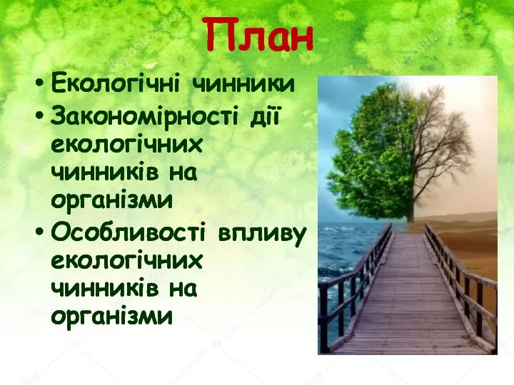 План Екологічні чинники Закономірності дії екологічних чинників на організми Особливості впливу екологічних чинників на організми