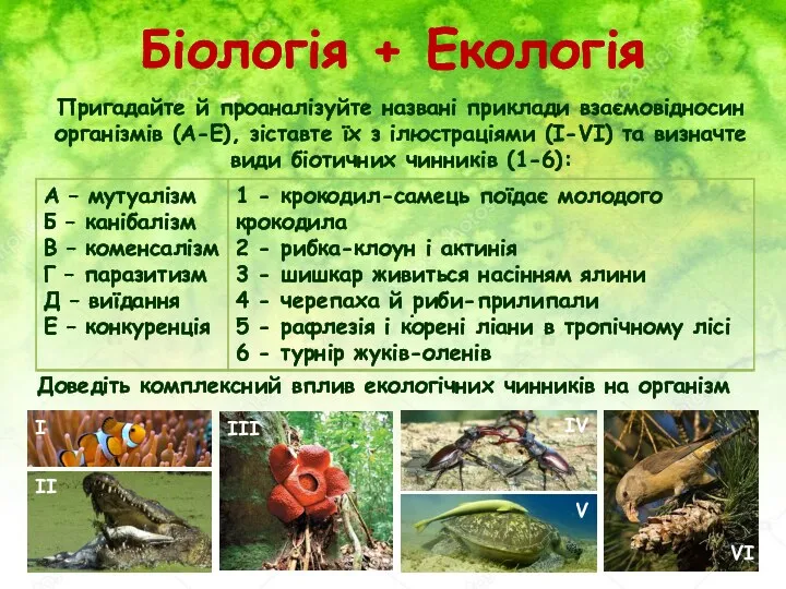 Біологія + Екологія Пригадайте й проаналізуйте названі приклади взаємовідносин організмів