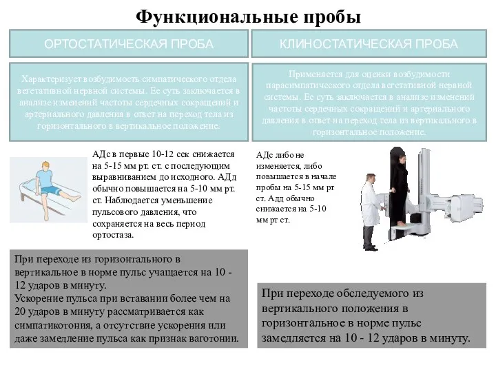 Функциональные пробы ОРТОСТАТИЧЕСКАЯ ПРОБА КЛИНОСТАТИЧЕСКАЯ ПРОБА При переходе обследуемого из